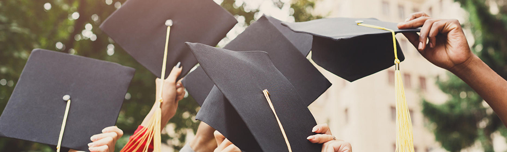 Mastère Professionnel