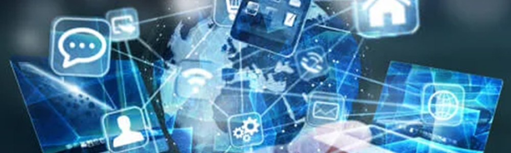 Développement des Systèmes Informatiques et Réseaux (DSIR)